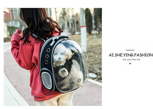 便携透明宠物背包 汤河店太空猫包舱，出行新选择